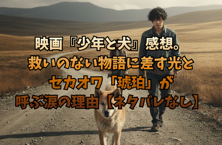 映画『少年と犬』感想。救いのない物語に差す光とセカオワ「琥珀」が呼ぶ涙の理由【ネタバレなし】