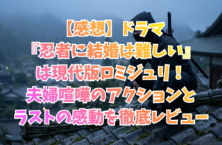 【感想】ドラマ『忍者に結婚は難しい』は現代版ロミジュリ！夫婦喧嘩のアクションとラストの感動を徹底レビュー